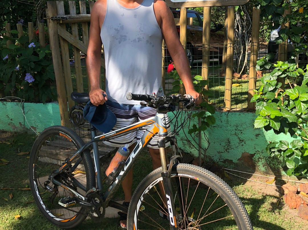 Jasmim dos Poetas主图