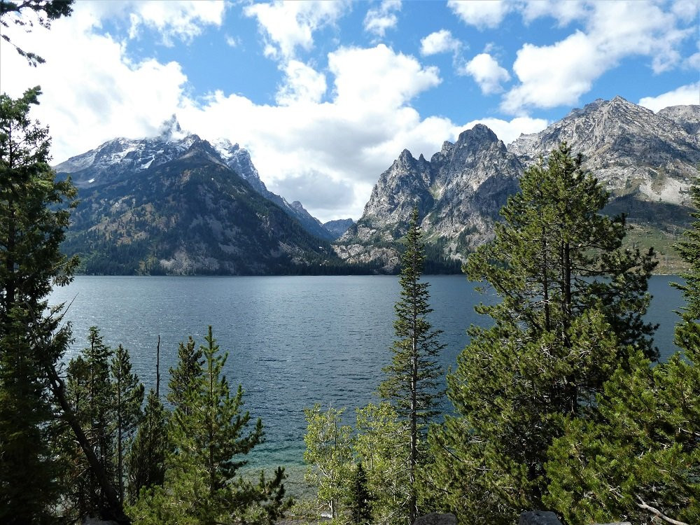 Jenny Lake景点图片