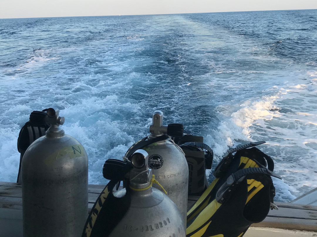 3 Turtles Diving Center-Safaga必去景点