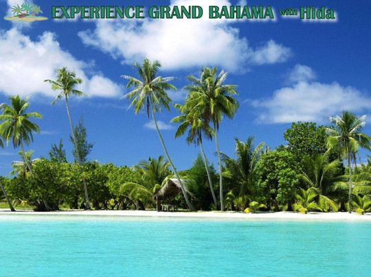 Experience Grand Bahama Island with Hida-弗里波特必去景点