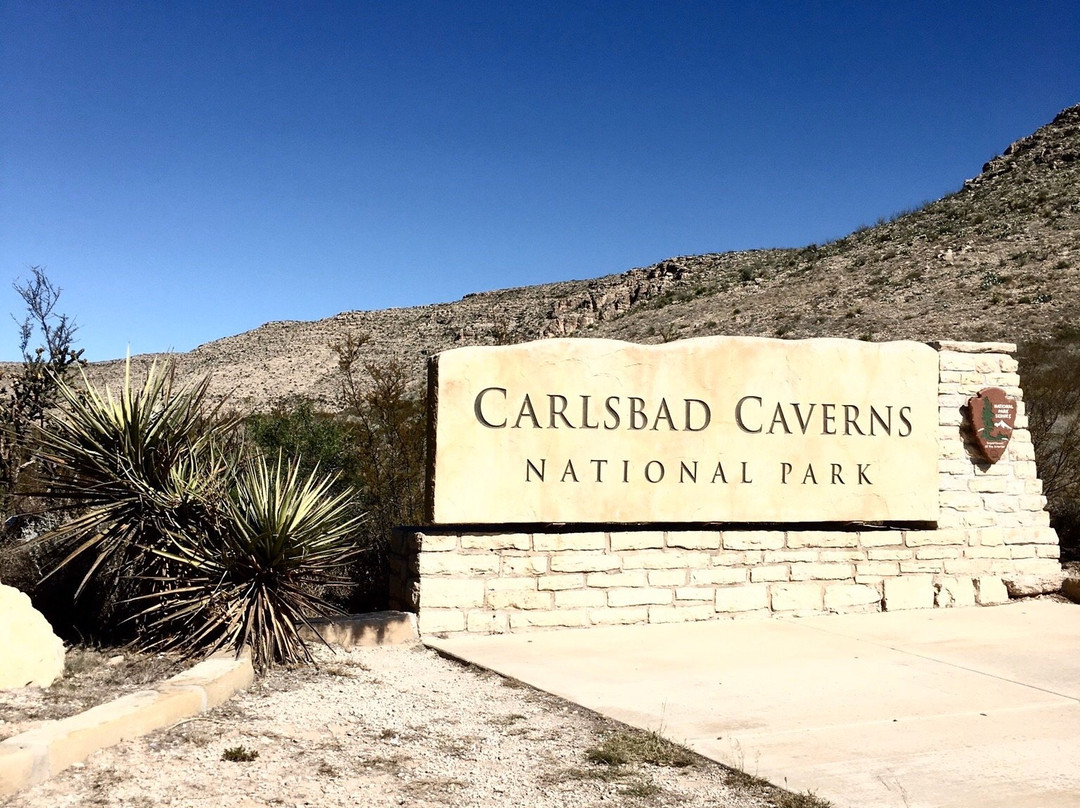 Walnut Canyon Desert Drive-卡尔斯巴德洞穴国家公园必去景点