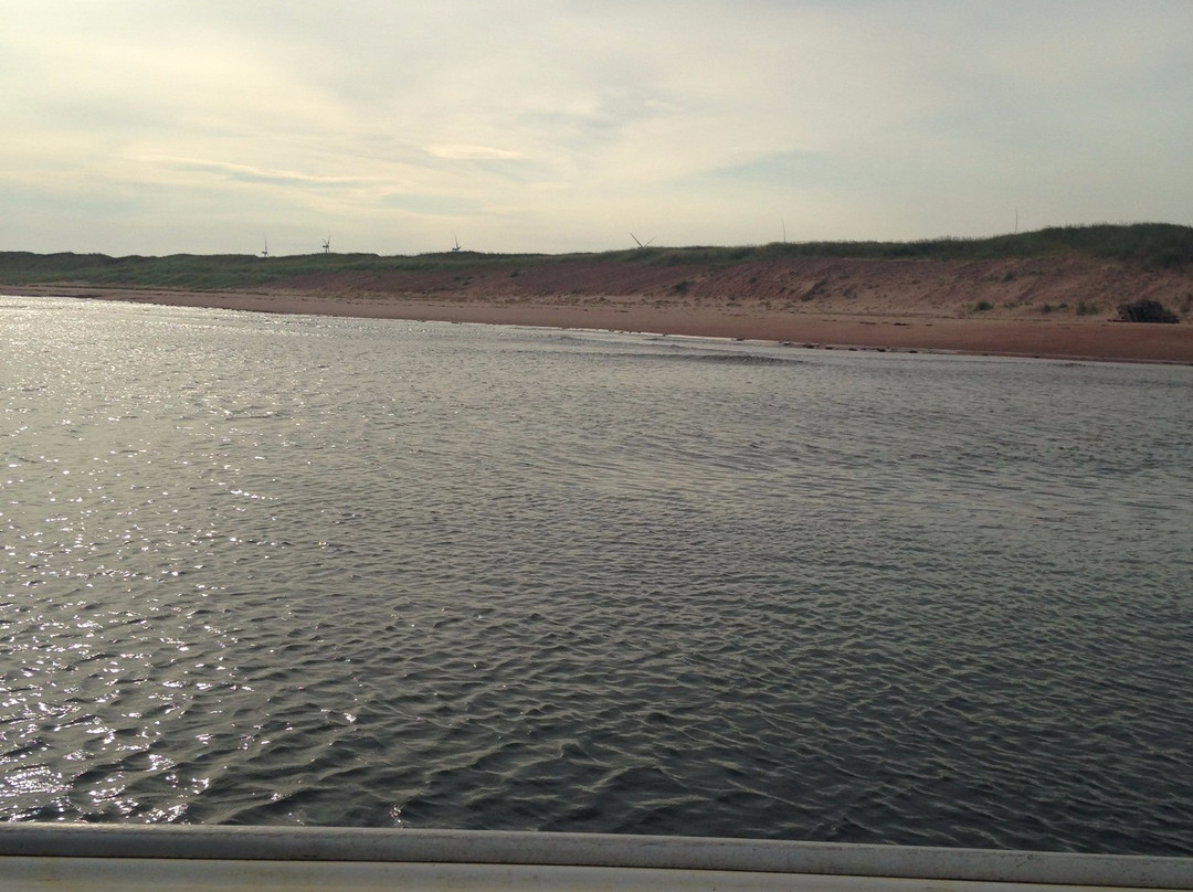 MacNeill's Deep Sea Fishing-Souris必去景点