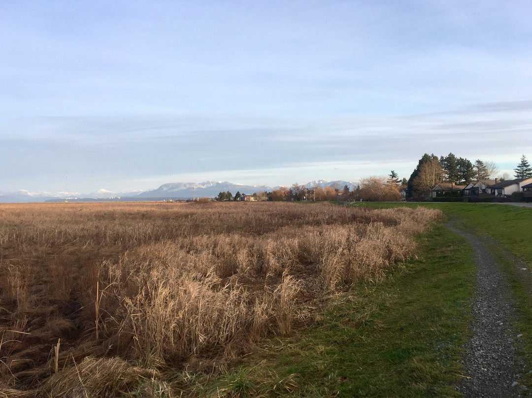 West Dyke Recreational Trail景点图片