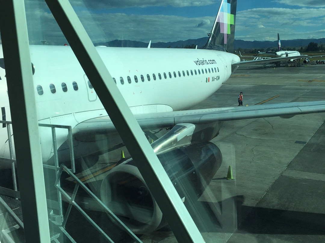 Vuelos en Parapente-瓜达拉哈拉必去景点