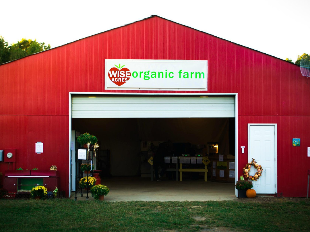 Wise Acres Organic Strawberry Farm