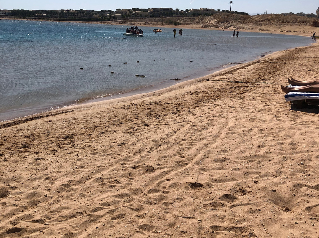 Adrenalin Beach Park-沙姆沙伊赫必去景点