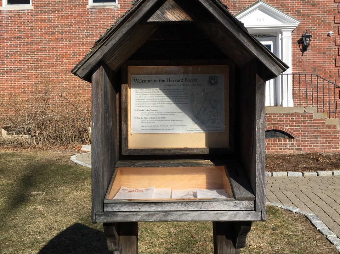 Harvard Forest