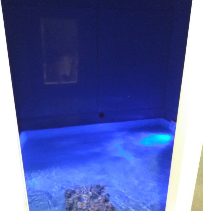 Livingston旅游景点-Float Edwardsville