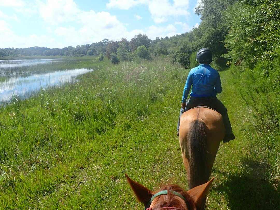 Cypress House Ranch-Bushnell必去景点