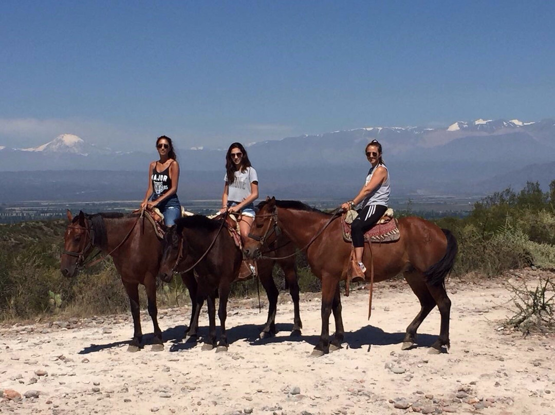 Los Pingos Horse Riding景点图片