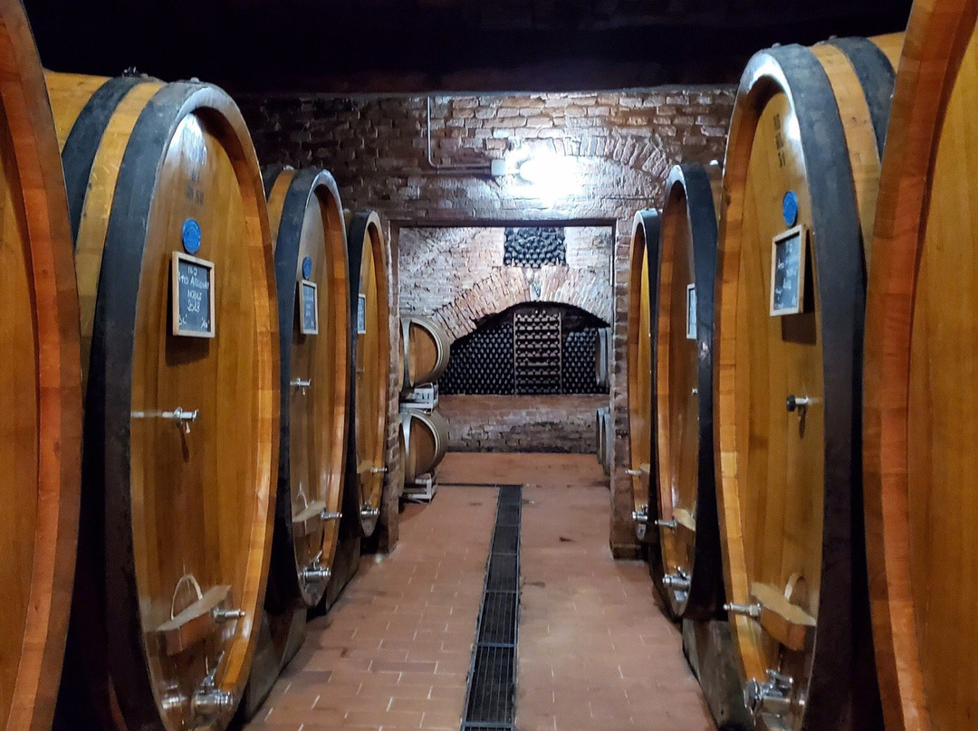 Palazzo Vecchio Winery-Valiano必去景点