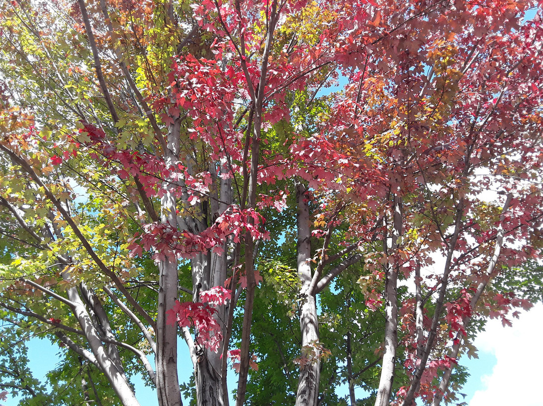 Drake Park-本德必去景点