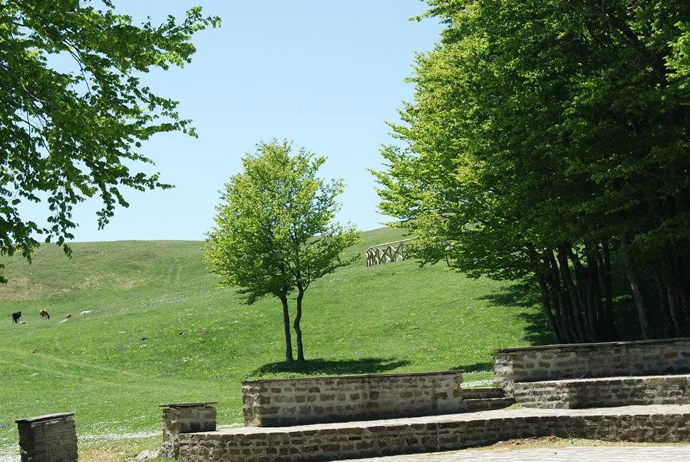 Il Querceto B&B主图