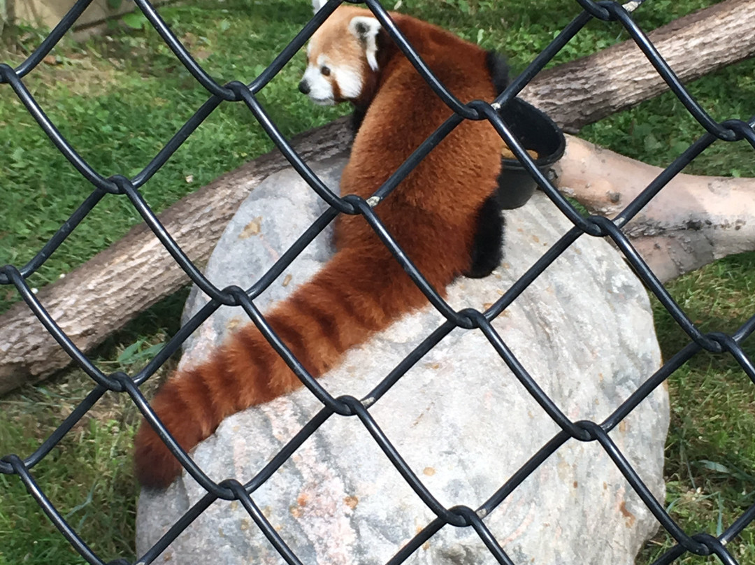 Roosevelt Park Zoo-Minot必去景点