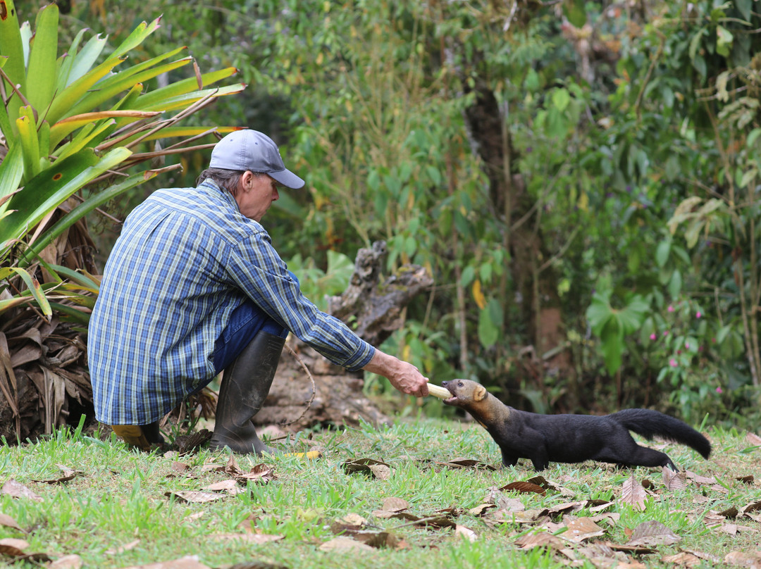 Pacha Quindi Nature Refuge-Tandayapa必去景点