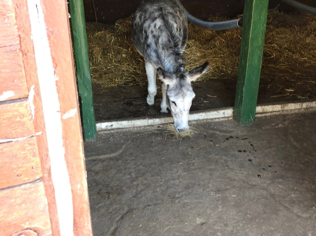 Tanyamuseum-久洛必去景点