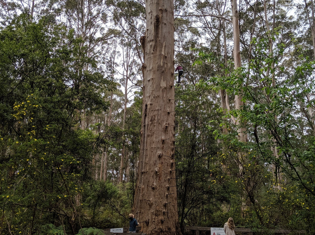 Gloucester National Park-彭伯顿必去景点