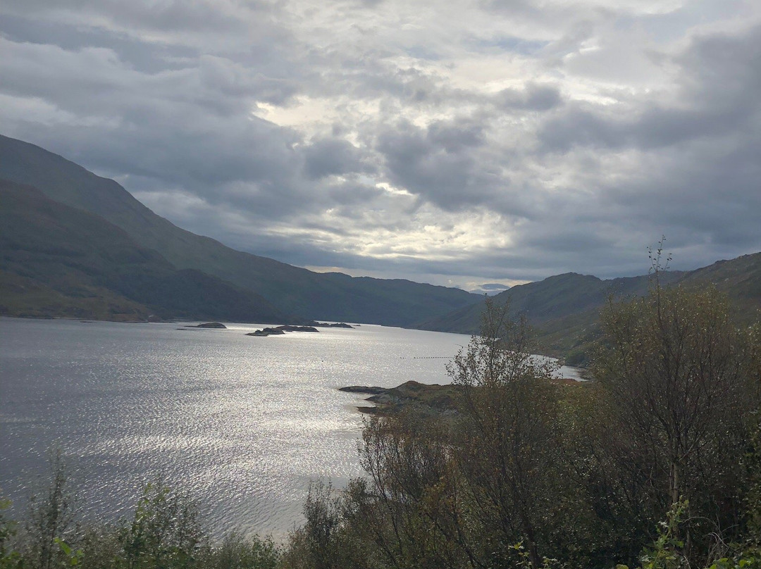 Caledonian MacBrayne Hebridean & Clyde Ferries景点图片