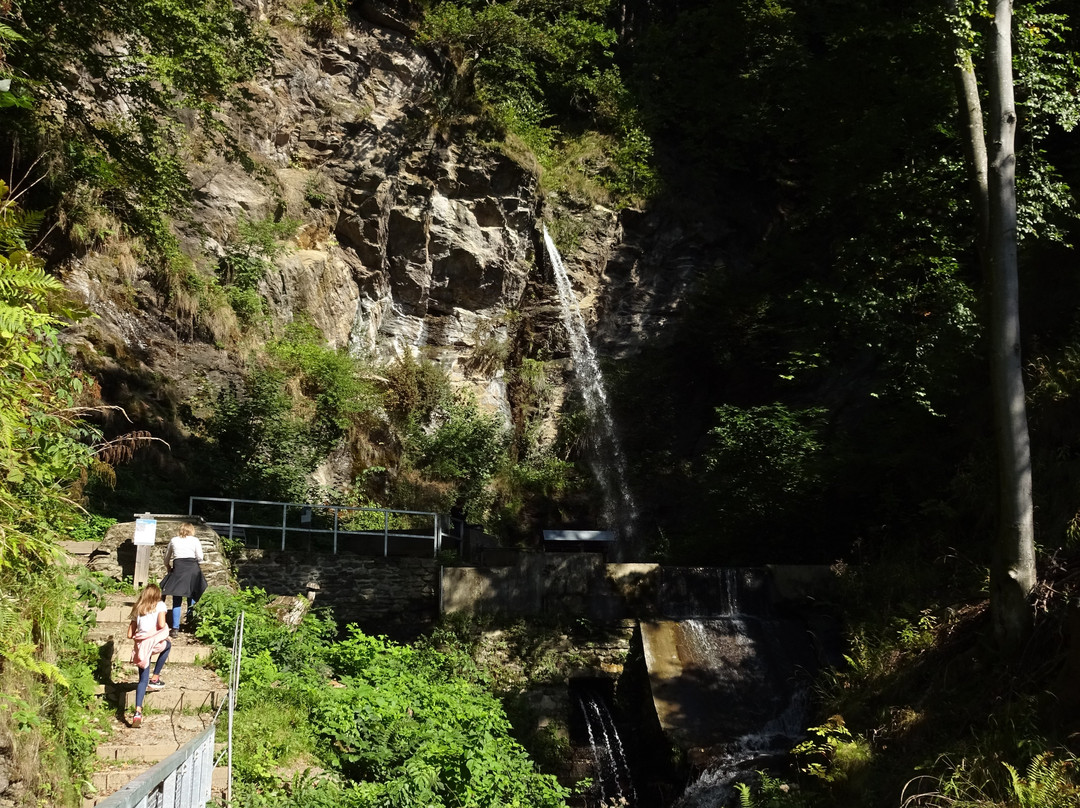 Finsterbach Wasserfälle景点图片