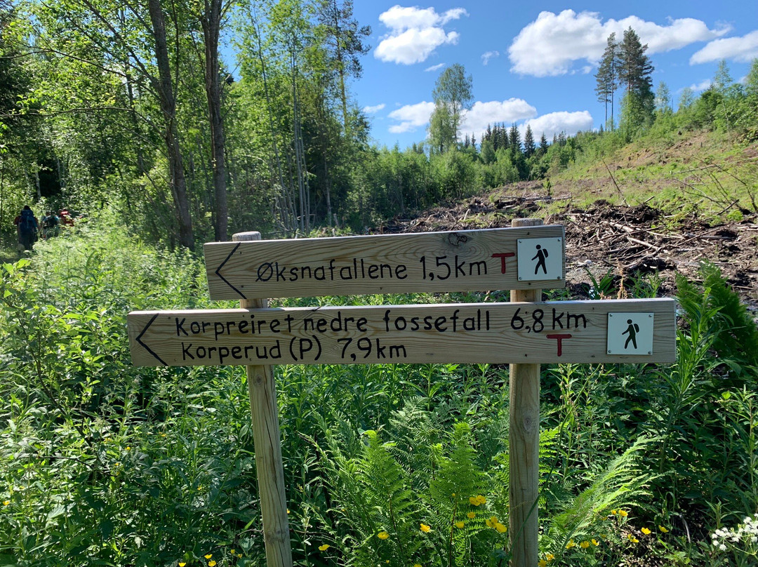 Øksna Falls