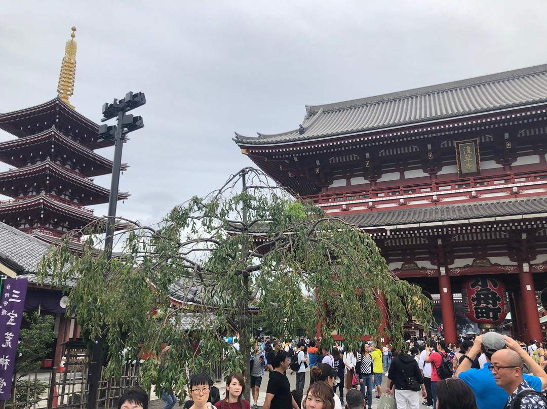 Senso-ji Temple Yogodo景点图片