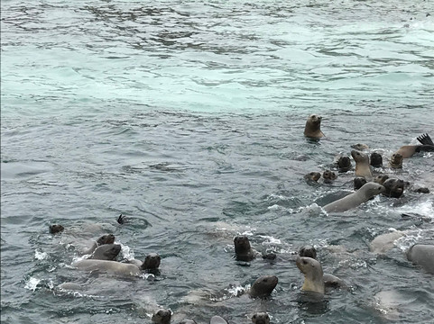 Kuyakuy Travel-利马必去景点