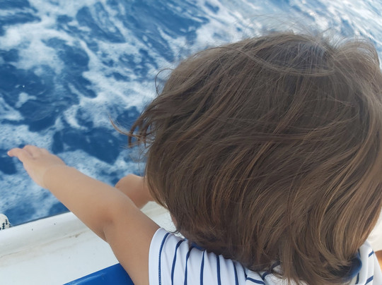 Sea DreaMontenegro-赫尔采格诺维必去景点