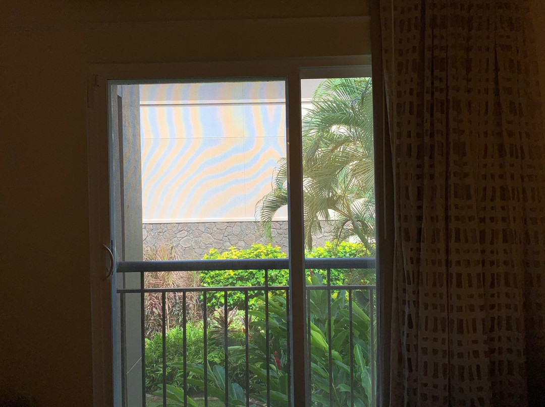 威尔哈伊海滩俱乐部万豪酒店主图