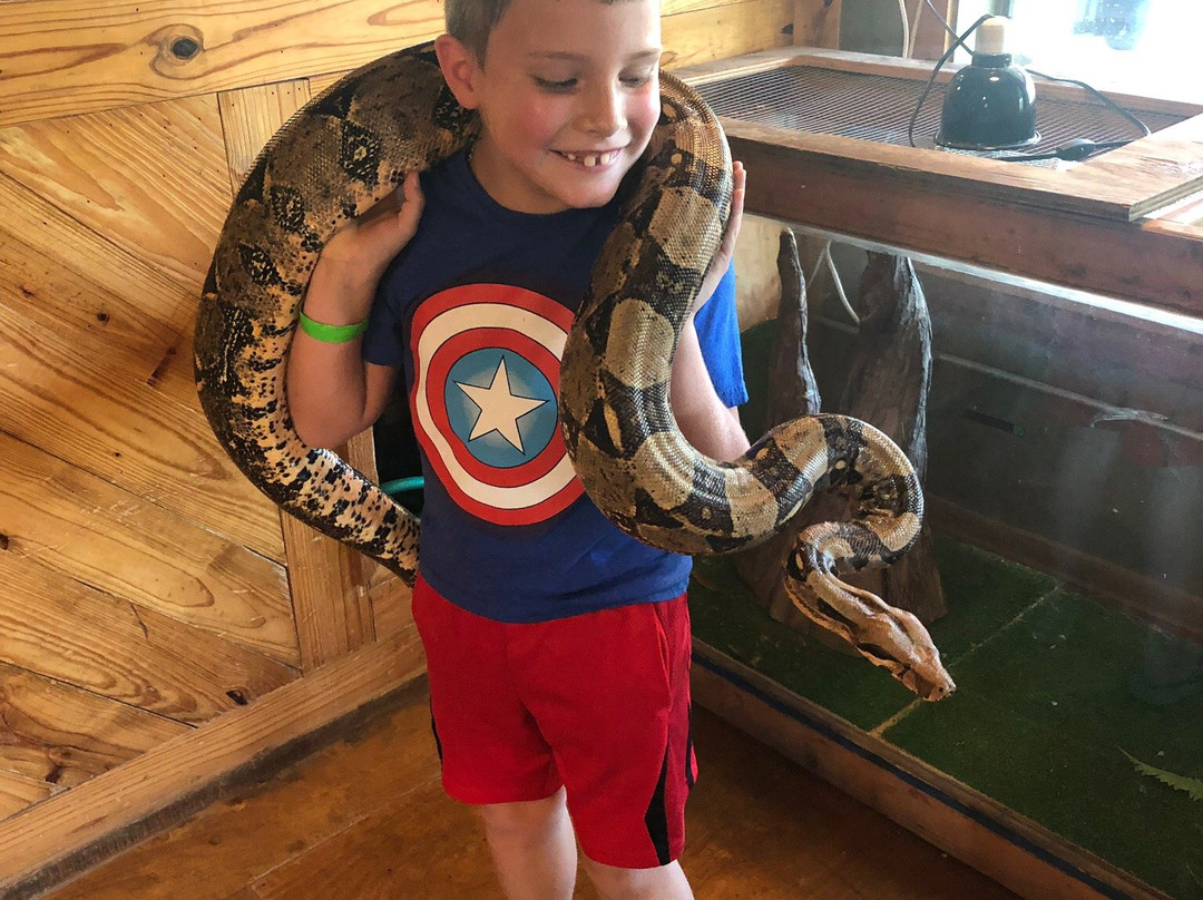 Gator Country-博蒙特必去景点