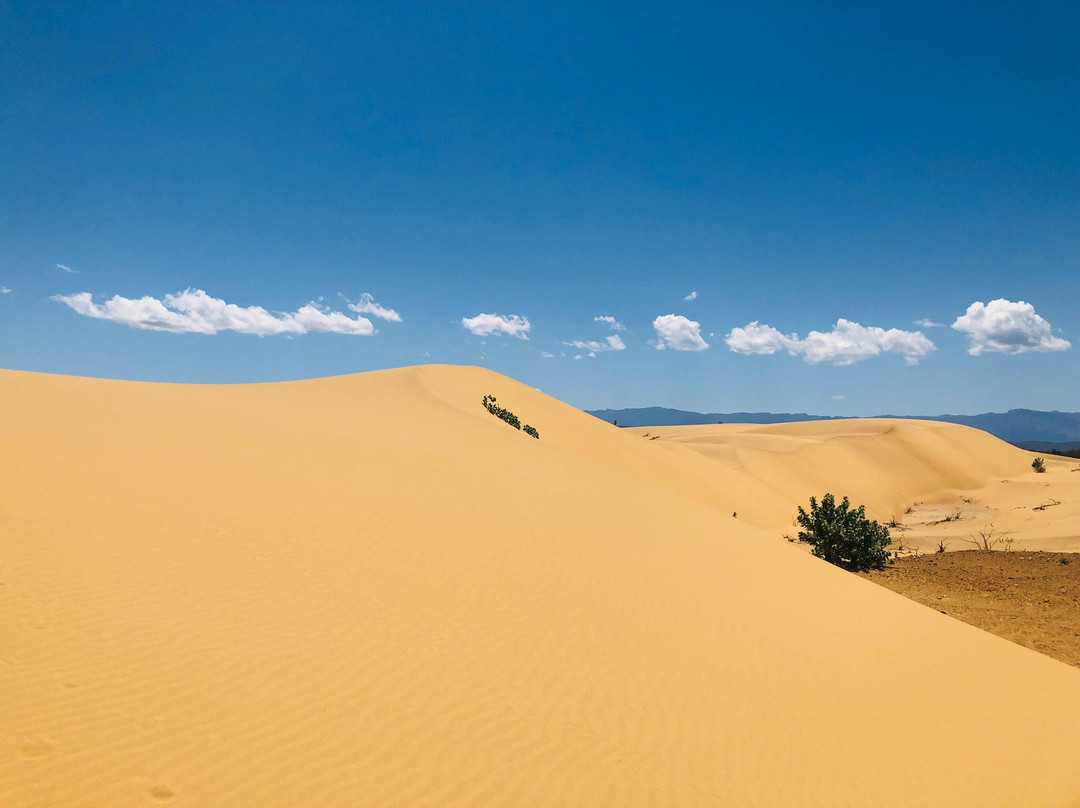 Los Medanos de Coro景点图片