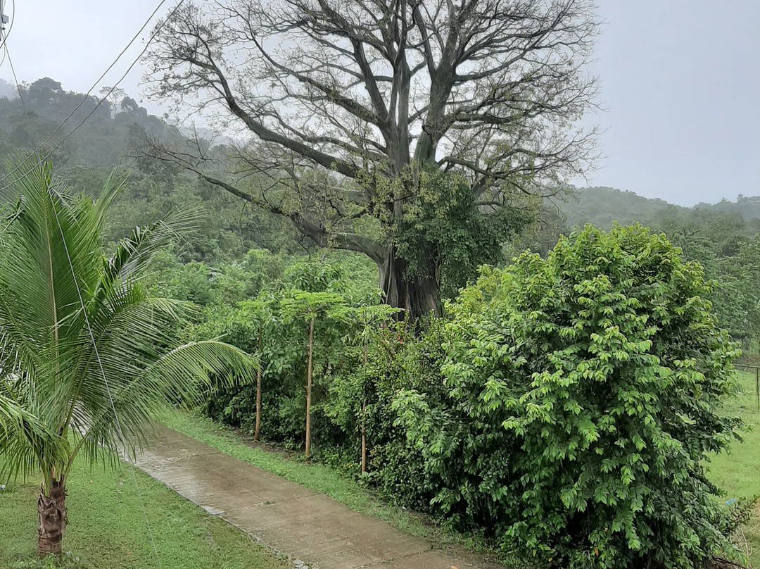 Berlin Hotel Spa & Finca主图