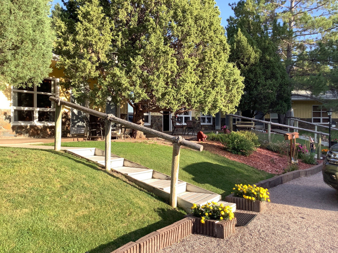 The Pines Country Inn主图