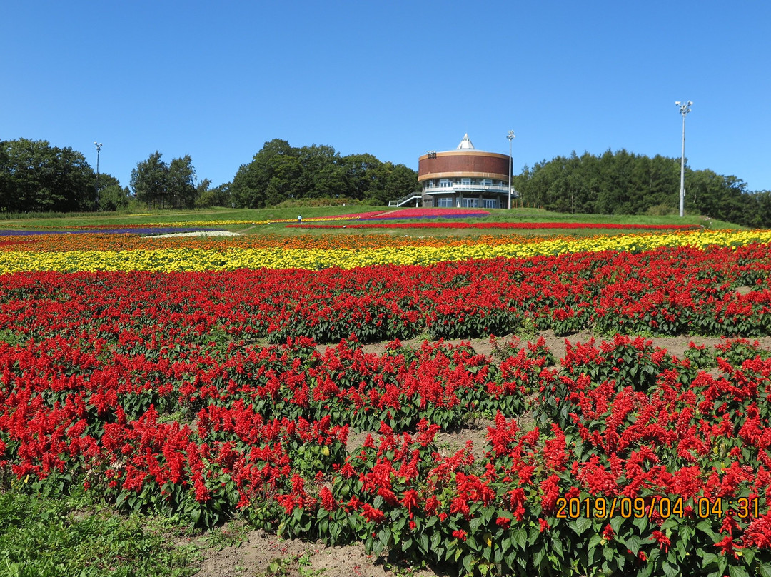 Flower Garden Hana Tento景点图片