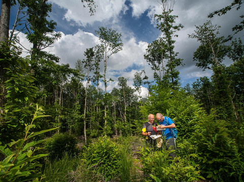 Booking Amiata-Abbadia San Salvatore必去景点