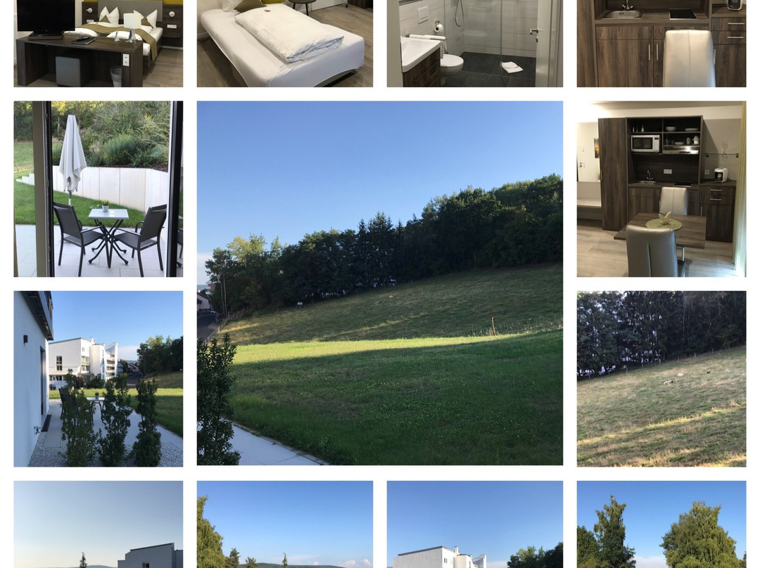 Hotel Birkenhof主图