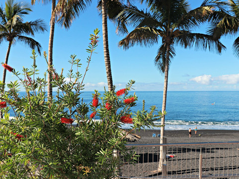Puerto Naos Beach-Todoque必去景点