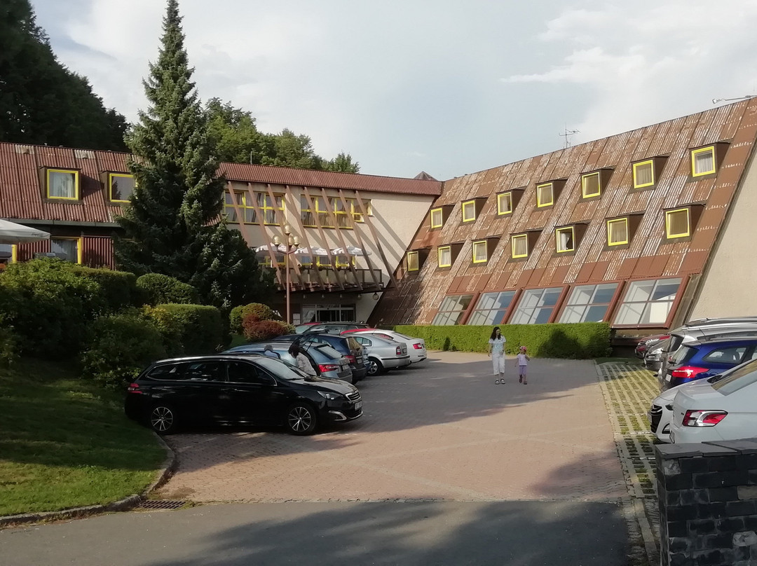 Wellness Hotel Diana主图
