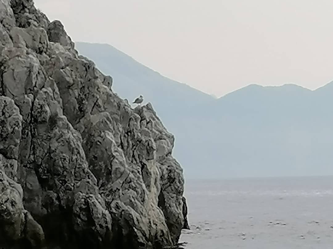 Spiaggia Dei Gabbiani景点图片