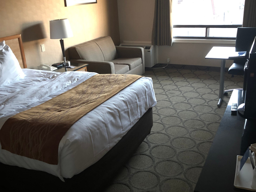 Comfort Inn Fredericton主图