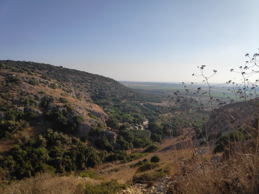 Hotem Hacarmel Nature Reserve景点图片