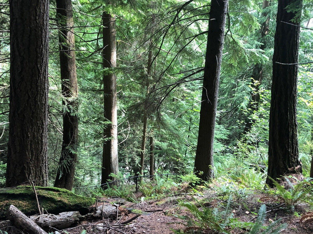 Mud Mountain Dam-Enumclaw必去景点