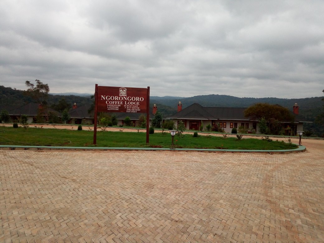 Ngorongoro Lodge & Campsite主图