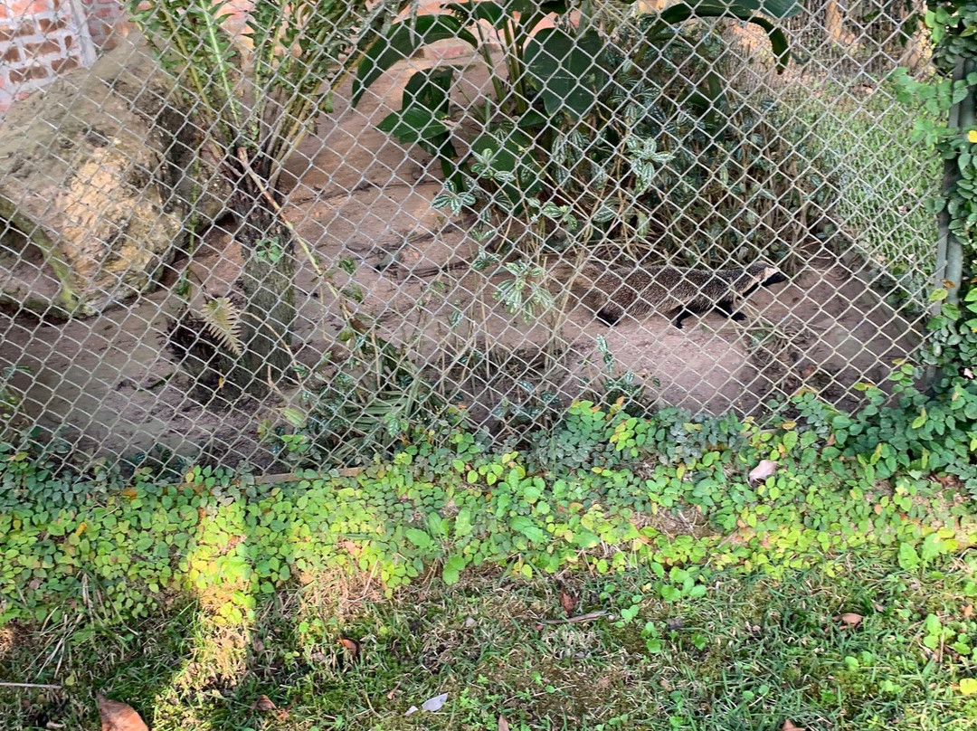 Parque Zoobôtanico-Joinville必去景点
