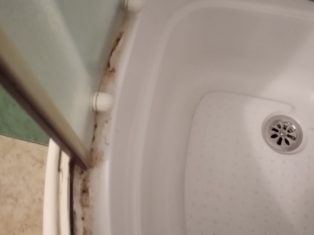 Hotel Novinka主图