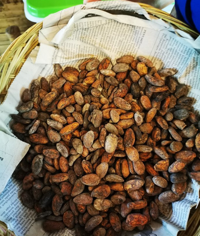 Kebune Bali Agrotourism-Kemenuh必去景点