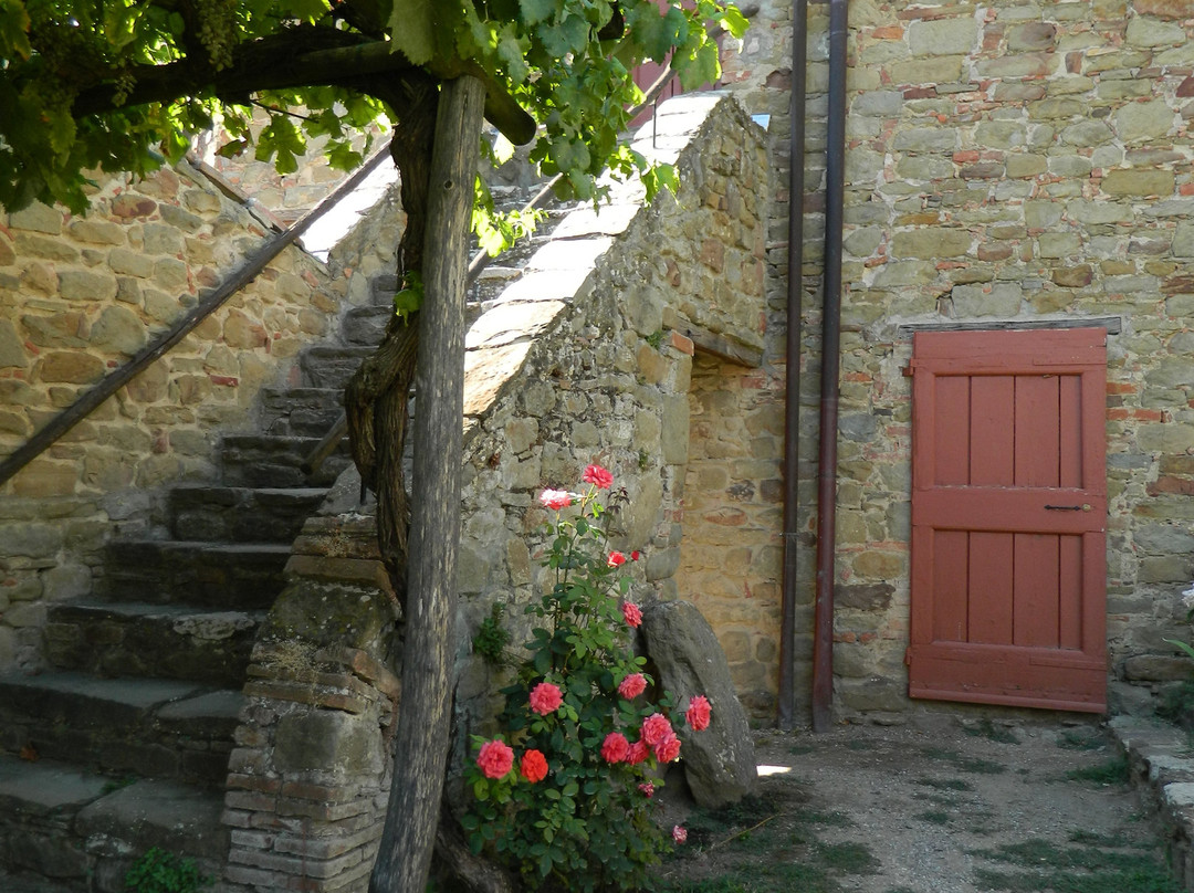 Castello di Gargonza主图