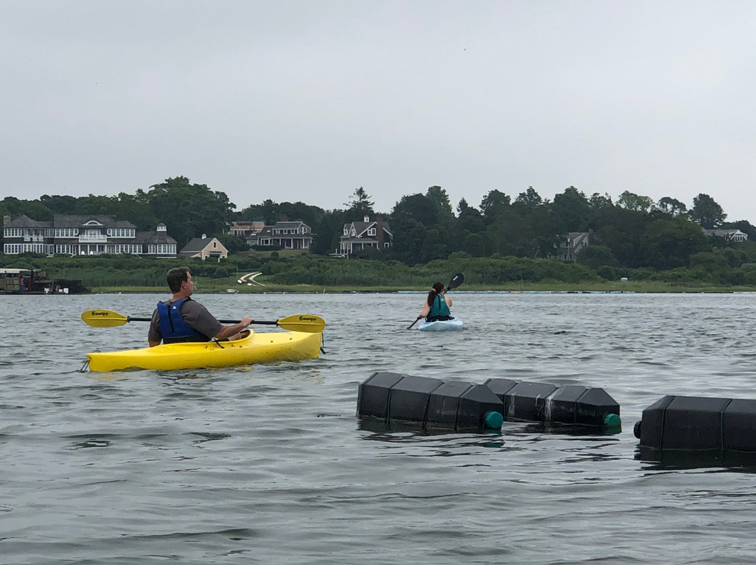 Chatham Kayak Company - Guided Tours-查塔姆必去景点
