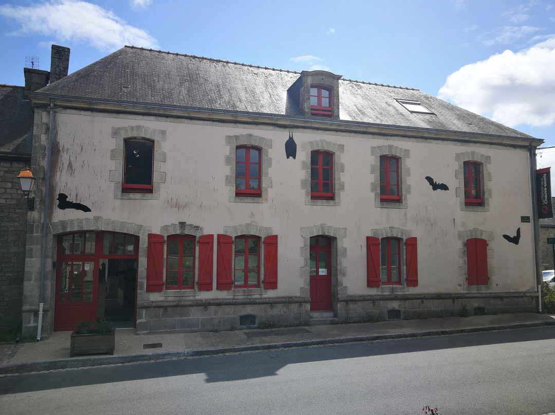 Maison de la Chauve-Souris景点图片