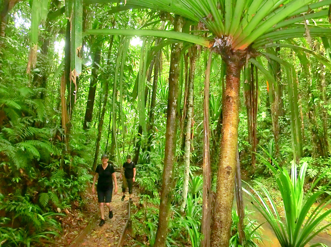 Kay Services Tour-Nausori必去景点