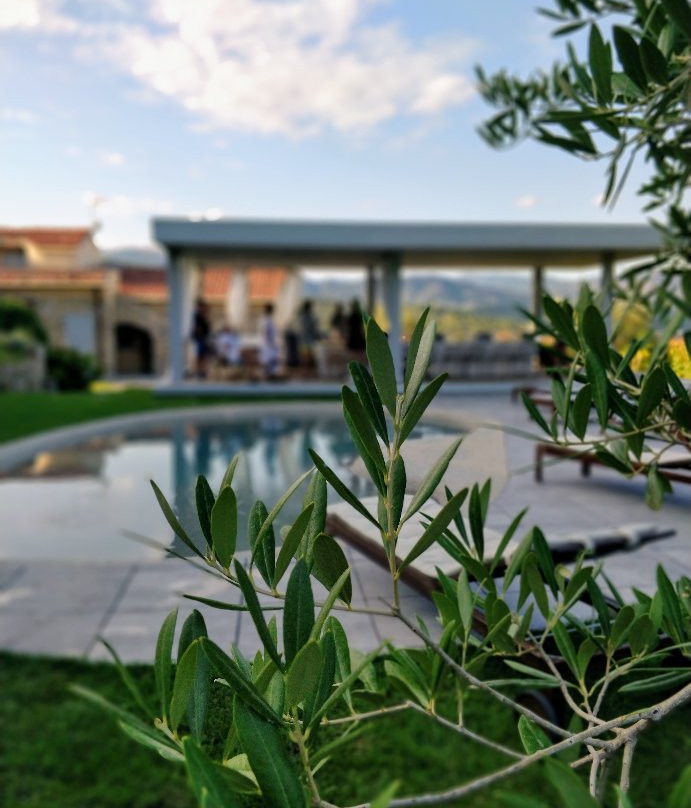 Almablanca Azienda Agricola B&B Agriturismo主图